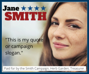 Example of 250x300 pixel political display ad