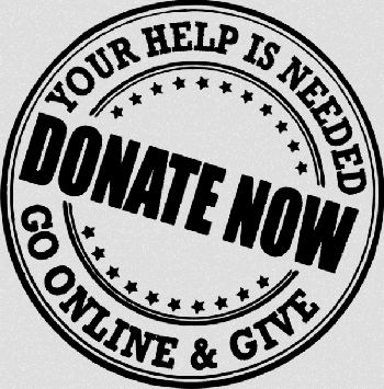 online fundraising tips logo