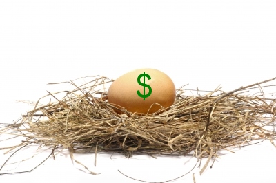fundraising egg in a nest