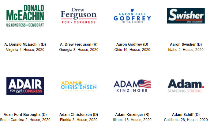 political campaign logo examples for yard signs