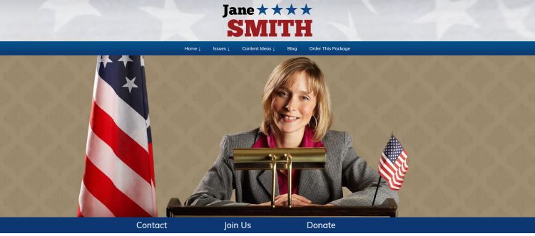 political website design example