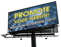 Promote your campaign website!
