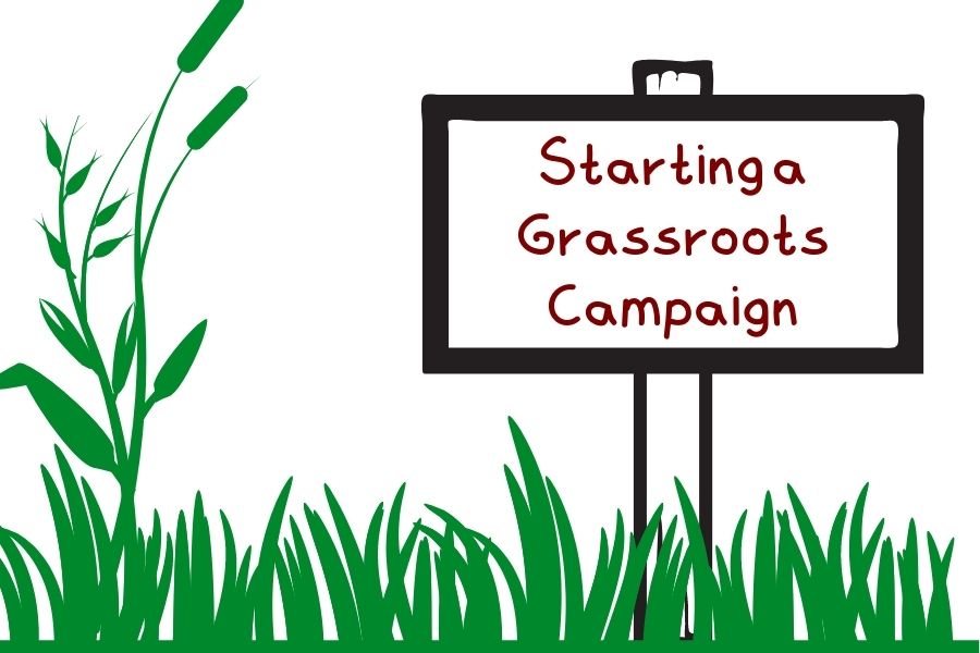 run a grassroots political campaign