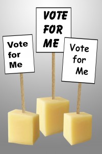 make your own campaign signs