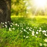 Spring Cleaning For Your Campaign's Social Media