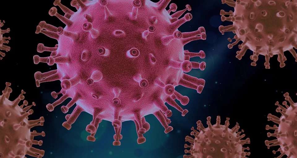 virus political