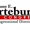 US Congress Campaign Logo