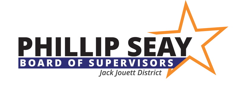 Town Supervisor Campaign Logo 11060298983.jpg