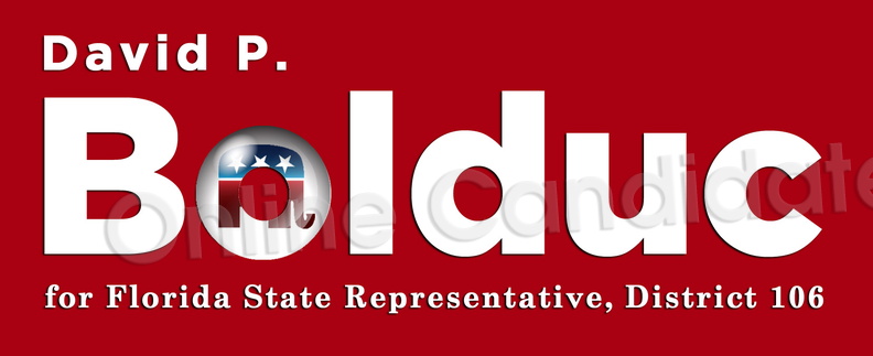 State Representative Campaign Logo 8741643040.jpg