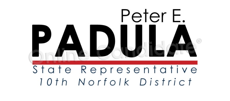 State Representative Campaign Logo 8740524931.jpg
