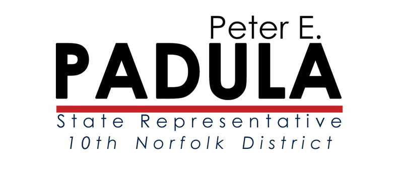 State Representative Campaign Logo 8740524931.jpg