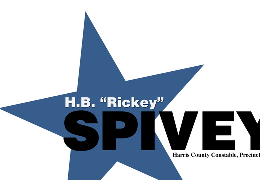 Sheriff Campaign Logo