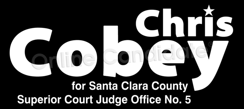 Judicial Campaign Logo 8741642700.jpg