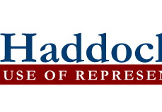 State Representative Campaign Logo 3 (11880 visits) State Representative Campaign Logo 3