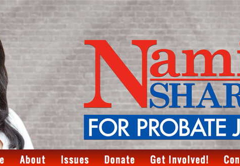 Namita Sharma for Kalamazoo County Probate Court