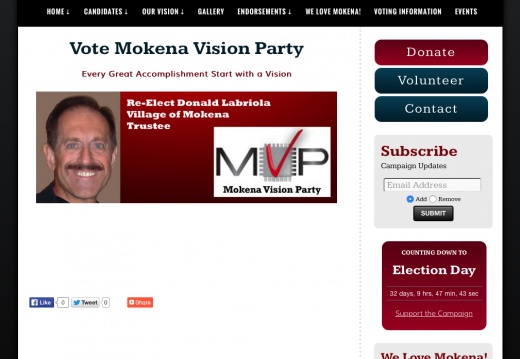 Mokena Vision Party