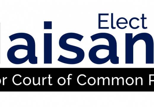 Judicial Campaign Logo DM