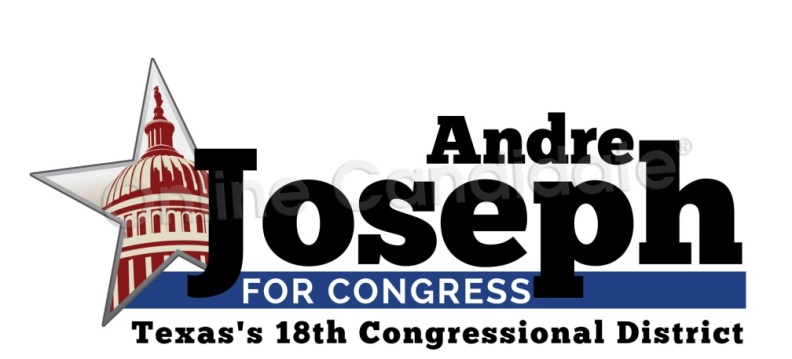 US Senate Campaign Logo AJ.jpg