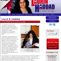 Laurin R. Haddad for Onondaga County Family Court Judge