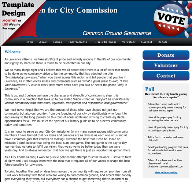 Lisa Larsen for City Commission.jpg