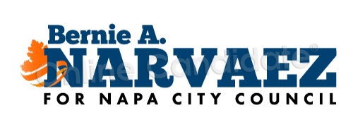 City-Council-Campaign-Logo-BN