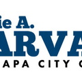 City-Council-Campaign-Logo-BN.jpg