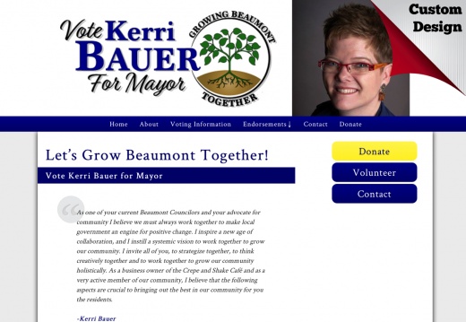 Kerri Bauer for Mayor