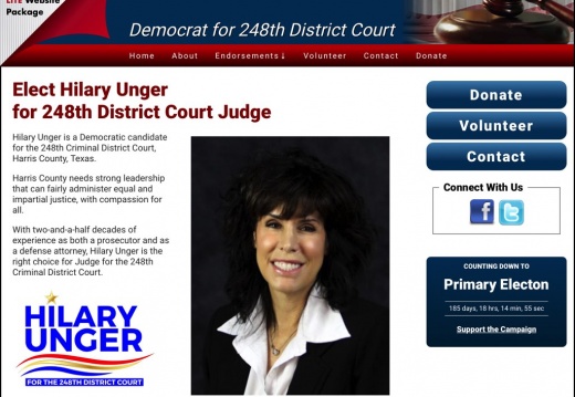 Hilary Unger Democrat for 248th District Court