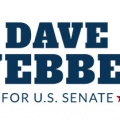 US Senate Campaign Logo DW