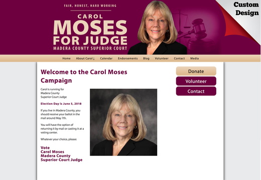 Carol Moses for Judge (6572 visits) Carol Moses for Judge