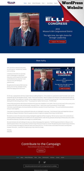 Kathy Ellis for Congress.jpg