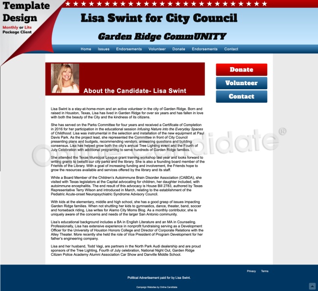 Lisa Swint for City Council.jpg