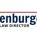 Law Director Camapign Logo.jpg