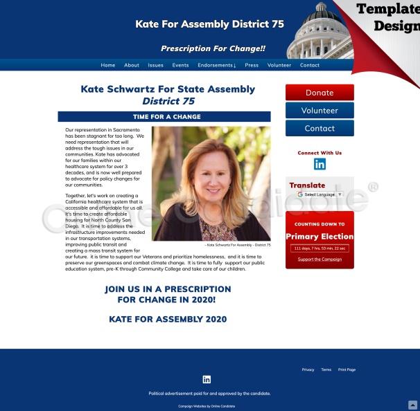 Kate Schwartz For State Assembly District 75.jpg