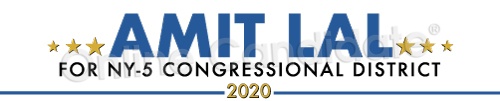 Congressional Campaign Logo AL.jpg