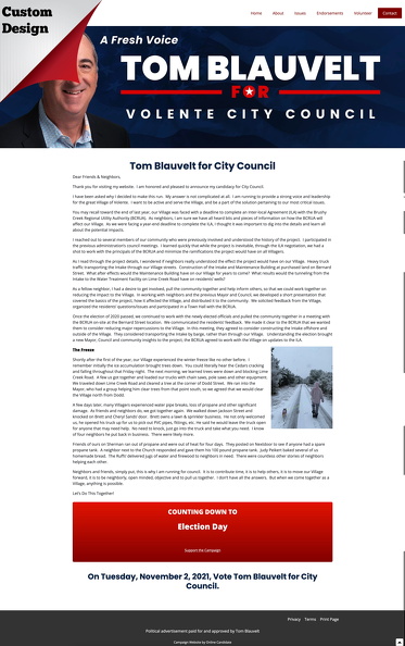 Tom Blauvelt for City Council.jpg