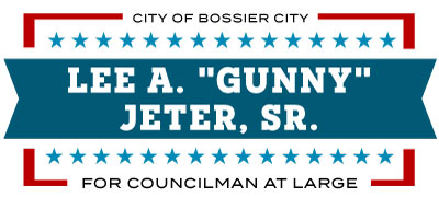 City-Council-Camapign-Logo-LJ.png