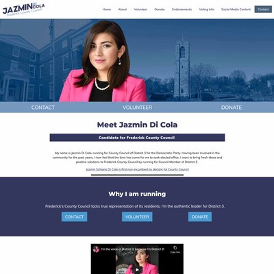Council Election Website Example